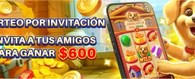 mx7 Casino Experience